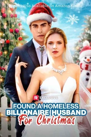 Found A Homeless Billionaire Husband for Christmas – Reward